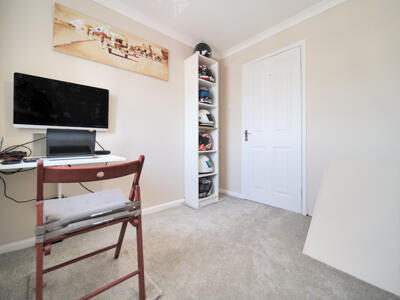 Picture 11